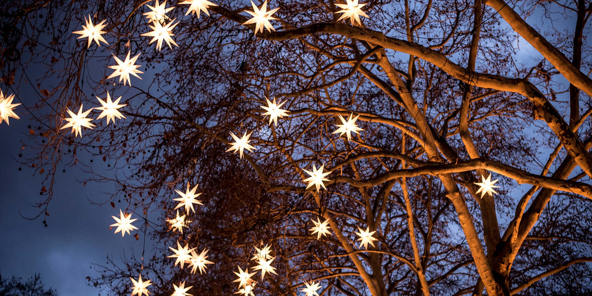 How Much Does Christmas Lights Cost To Have Installed APlugPro