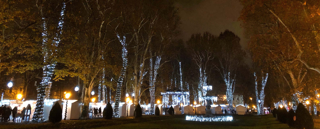 Safety Measures Taken By Professional Christmas Lights Installers