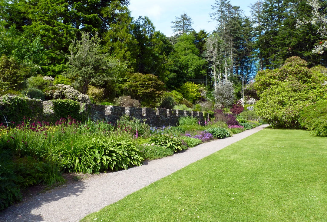 a path through a garden