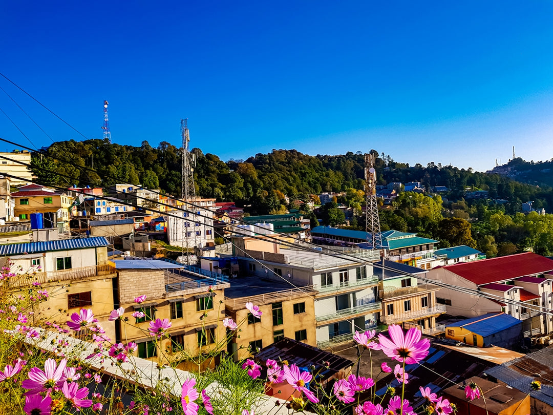 a town with many buildings and trees